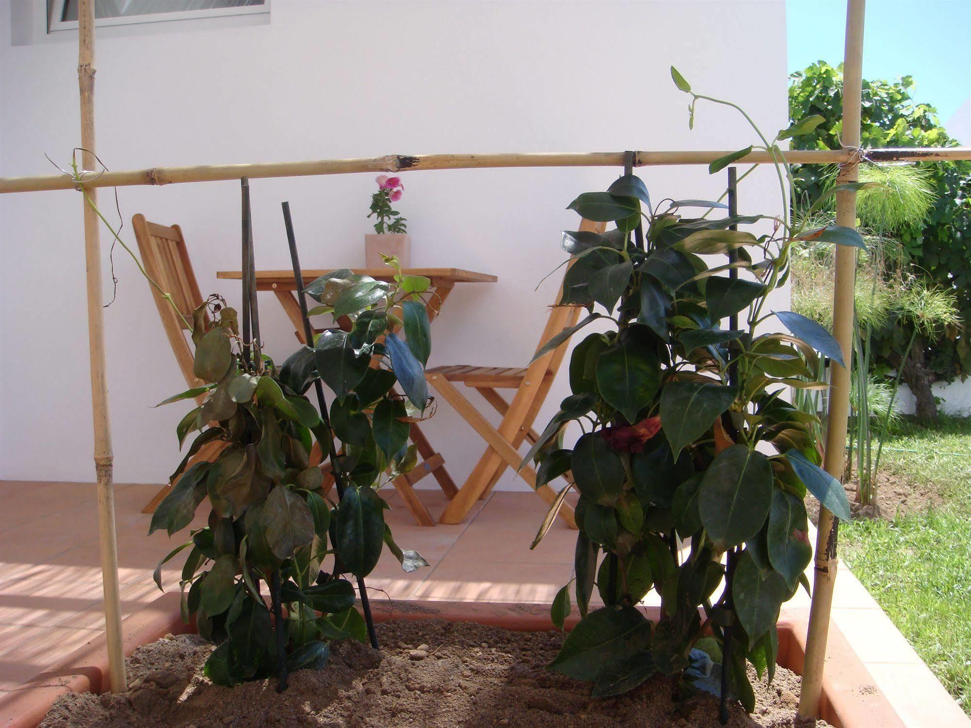 Gasthof Casa Da Ilha - Slow Living & Ponta Delgada
